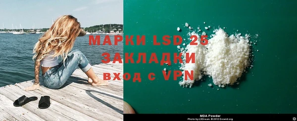 PSILOCYBIN Нестеровская