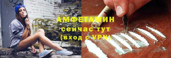 винт Фёдоровский