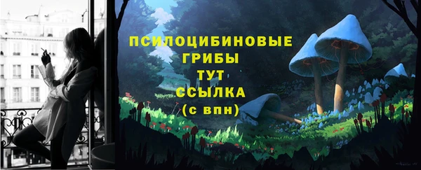 прущая мука Кодинск