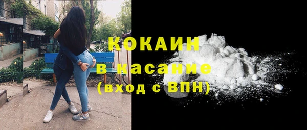 винт Фёдоровский