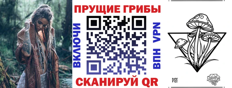 Галлюциногенные грибы Psilocybine cubensis  где можно купить   Новочеркасск 